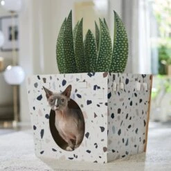 Frisco Potted Succulent Cardboard Cat House 12 Frisco Potted Succulent Cardboard Cat House -Frisco 317723 PT4. AC SS1800 V1688677260