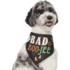 Frisco Bad & Boo-Jee Dog & Cat Costume Bandana 1 Frisco Bad & Boo-Jee Dog & Cat Costume Bandana -Frisco 334807 MAIN. AC SS1800 V1658368617