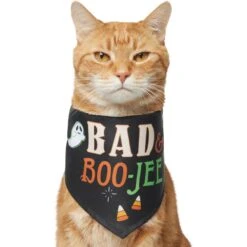Frisco Bad & Boo-Jee Dog & Cat Costume Bandana -Frisco 334807 PT2. AC SS1800 V1659034006