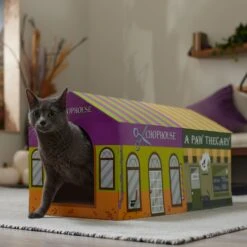 Frisco Halloween A-Paw-Thecary & Chop House Cardboard Cat House With Catnip -Frisco 344002 PT3. AC SS1800 V1657657029