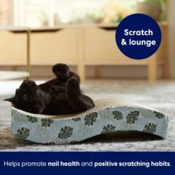 Frisco Wave Cat Scratcher Toy With Catnip, Tropical Paradise 8 Frisco Wave Cat Scratcher Toy With Catnip, Tropical Paradise -Frisco 347221 PT3. AC SS1800 V1659699263