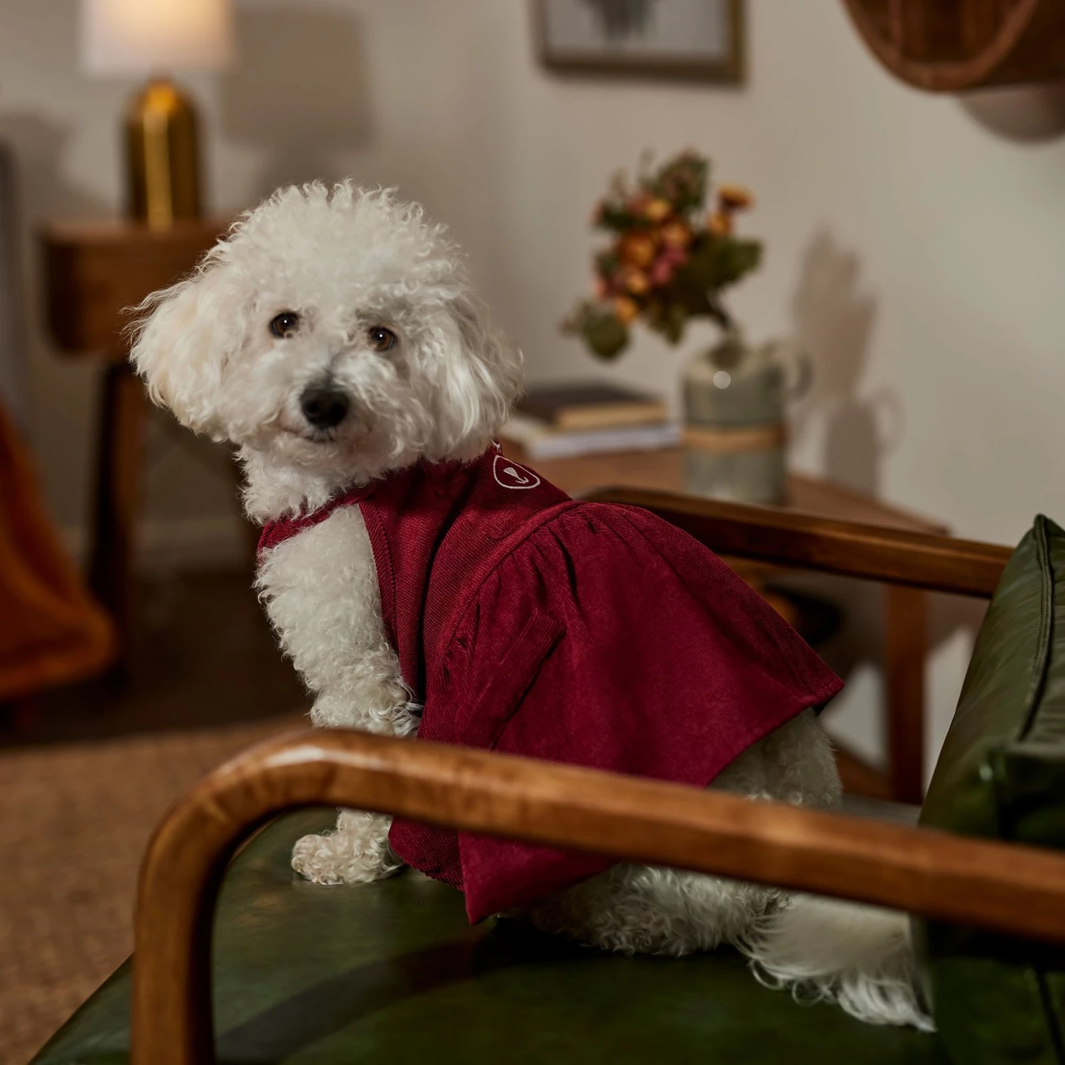 Frisco Sleepy Face Dog & Cat Dress 8 Frisco Sleepy Face Dog & Cat Dress - Image 6