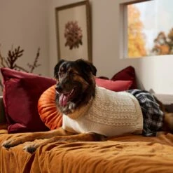 Frisco Plaid Dog & Cat Sweater Dress -Frisco 353673 PT7. AC SS1800 V1660750173