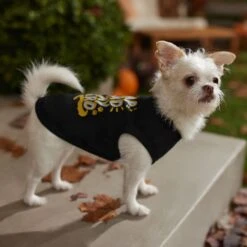 Frisco Nap Hard Play Hard Dog & Cat T-Shirt -Frisco 353713 PT7. AC SS1800 V1660750172