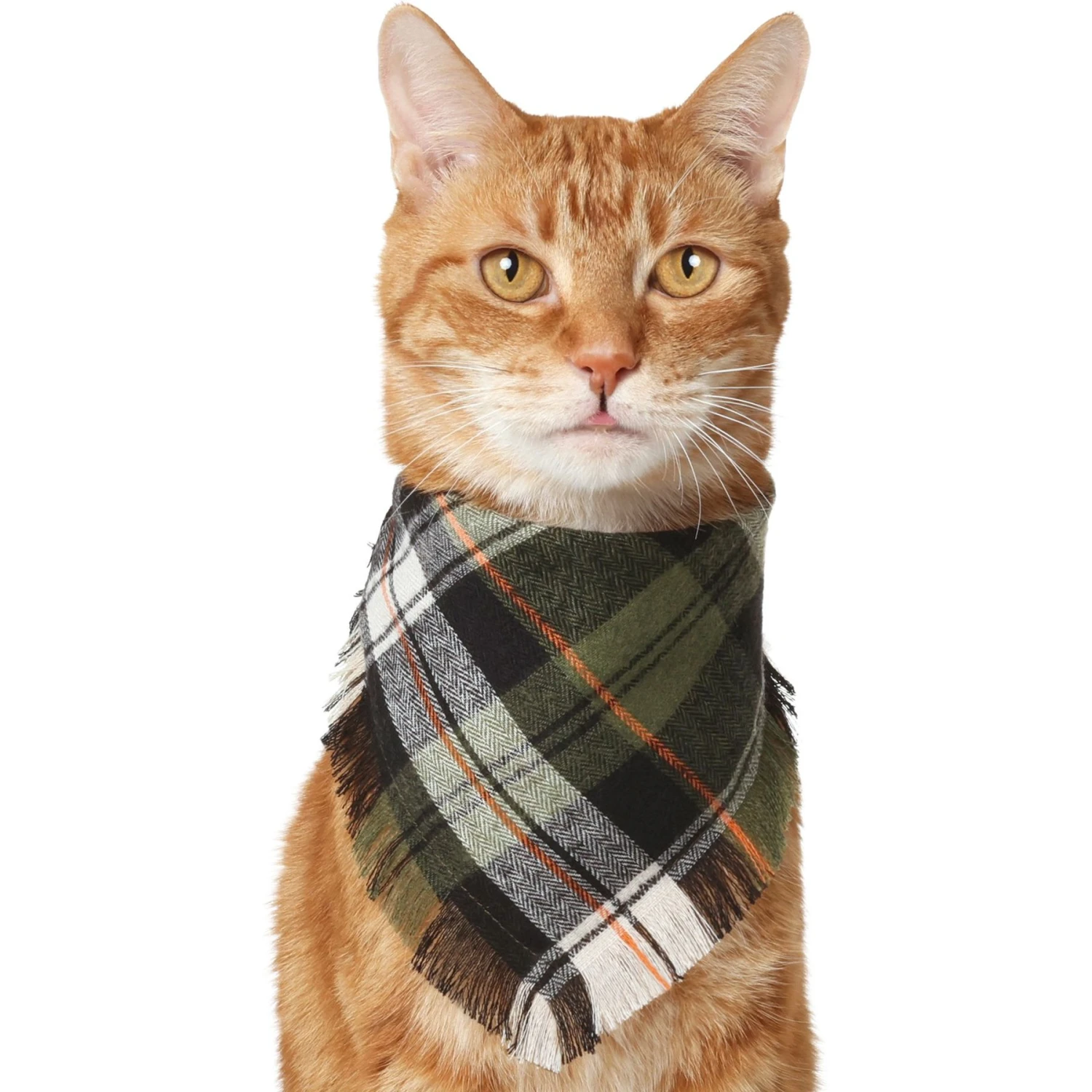 Frisco Plaid Fringe Dog & Cat Bandana 3 Frisco Plaid Fringe Dog & Cat Bandana