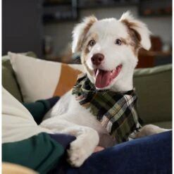 Frisco Plaid Fringe Dog & Cat Bandana 16 Frisco Plaid Fringe Dog & Cat Bandana -Frisco 353769 PT6. AC SS1800 V1660749811