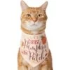 Frisco Cutest Pumpkin In The Patch Dog & Cat Bandana -Frisco 353777 MAIN. AC SS1800 V1659010811