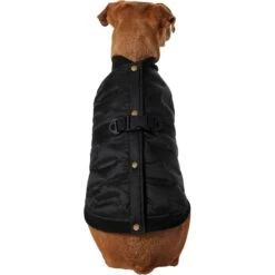 Frisco Lightweight Belted Puffer Dog & Cat Jacket -Frisco 353825 PT2. AC SS1800 V1659010815