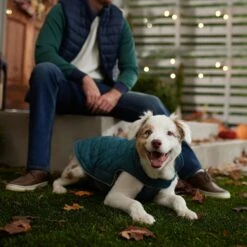 Frisco Mediumweight Reversible Dog & Cat Coat 16 Frisco Mediumweight Reversible Dog & Cat Coat -Frisco 353932 PT7. AC SS1800 V1660749442