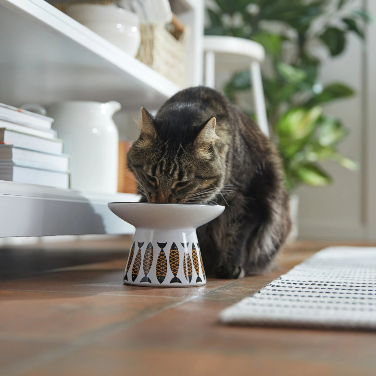 Frisco Cat Face Wide Shape Elevated Non-Skid Ceramic Cat Bowl 5 Frisco Cat Face Wide Shape Elevated Non-Skid Ceramic Cat Bowl - Image 3