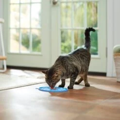 Frisco Non-skid Flower Silicone Dog & Cat Lick Mat, Blue 11 Frisco Non-skid Flower Silicone Dog & Cat Lick Mat, Blue -Frisco 363393 PT3. AC SS1800 V1660750521