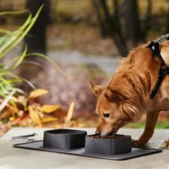 Frisco Travel Silicone Dog & Cat Travel Double Diner Bowl 12 Frisco Travel Silicone Dog & Cat Travel Double Diner Bowl -Frisco 363405 PT2. AC SS1800 V1664558631
