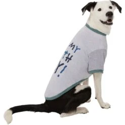 Frisco It's My Birth Day Dog & Cat T-Shirt -Frisco 368808 PT4. AC SS1800 V1669101517