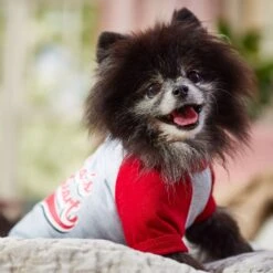 Frisco Mama's Sweetheart Dog & Cat T-Shirt -Frisco 371063 PT7. AC SS1800 V1701796982