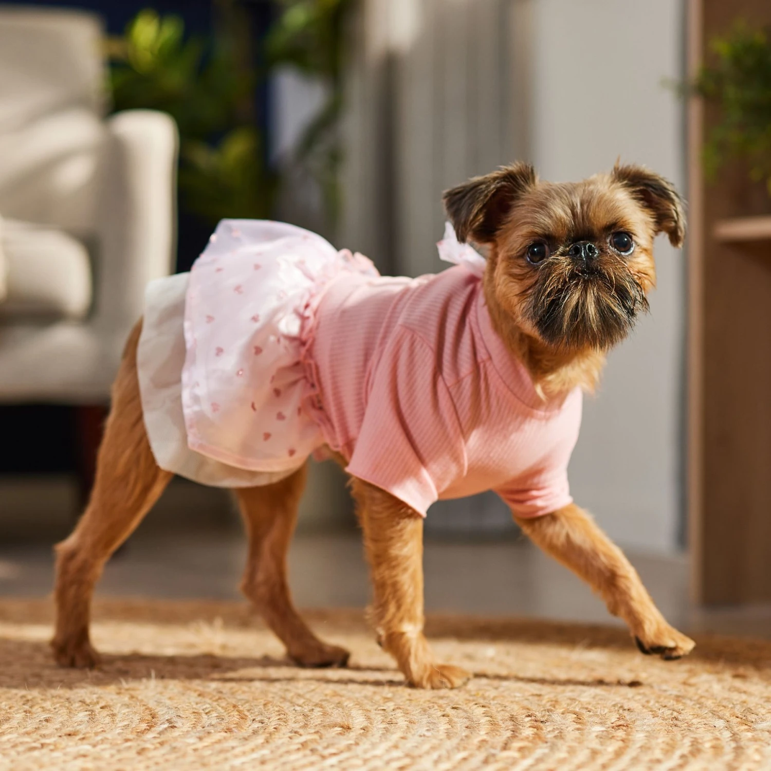 Frisco Tulle Hearts Dog & Cat Dress 11 Frisco Tulle Hearts Dog & Cat Dress - Image 9