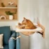 Frisco Acrylic Bowl Wall Mounted Cat Wall Shelf 1 Frisco Acrylic Bowl Wall Mounted Cat Wall Shelf -Frisco 373439 MAIN. AC SS1800 V1673014135