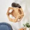 Frisco Hexagon Wall Mounted Cat Wall Shelf 2 Frisco Hexagon Wall Mounted Cat Wall Shelf -Frisco 373445 MAIN. AC SS1800 V1673014106