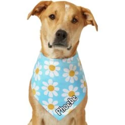 Frisco Personalized Blue Daisy Bandana -Frisco 555206 PT7. AC SS1800 V1669839925