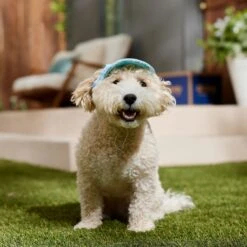 Frisco Blue Ocean Waves 30 + UPF Dog & Cat Beach Cap -Frisco 556182 PT5. AC SS1800 V1675714092