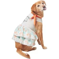 Frisco Tropical State Of Mind Dog & Cat Dress -Frisco 556742 PT3. AC SS1800 V1675103177
