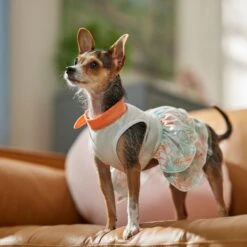 Frisco Tropical State Of Mind Dog & Cat Dress -Frisco 556742 PT5. AC SS1800 V1675101933