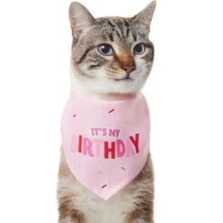 Frisco Dog & Cat Birthday Bandana -Frisco 608206 PT2. AC SS1800 V1676644511