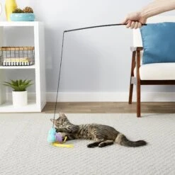 Frisco Natural Catnip & Frisco Bird With Feathers Teaser Wand Cat Toy With Catnip -Frisco 630198 PT8. AC SS1800 V1683212566