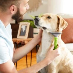 Frisco 71-in Faux Fur Cat Tree & Condo & Frisco Deshedding Dog & Cat Brush -Frisco 660294 PT7. AC SS1800 V1666839309