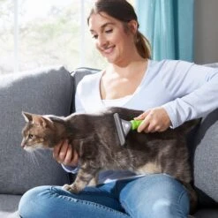 Frisco 71-in Faux Fur Cat Tree & Condo & Frisco Deshedding Dog & Cat Brush -Frisco 660294 PT8. AC SS1800 V1666838810