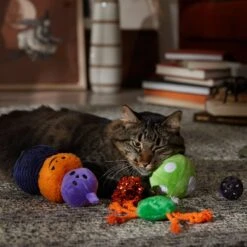 Frisco Halloween Mystical Variety Pack Plush & Balls Cat Toy With Catnip 8 Frisco Halloween Mystical Variety Pack Plush & Balls Cat Toy With Catnip -Frisco 668374 PT3. AC SS1800 V1689282492