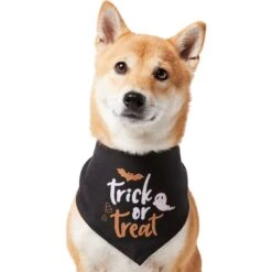 Frisco Trick Or Treat Dog & Cat Bandana -Frisco 706398 PT2. AC SS1800 V1690478415