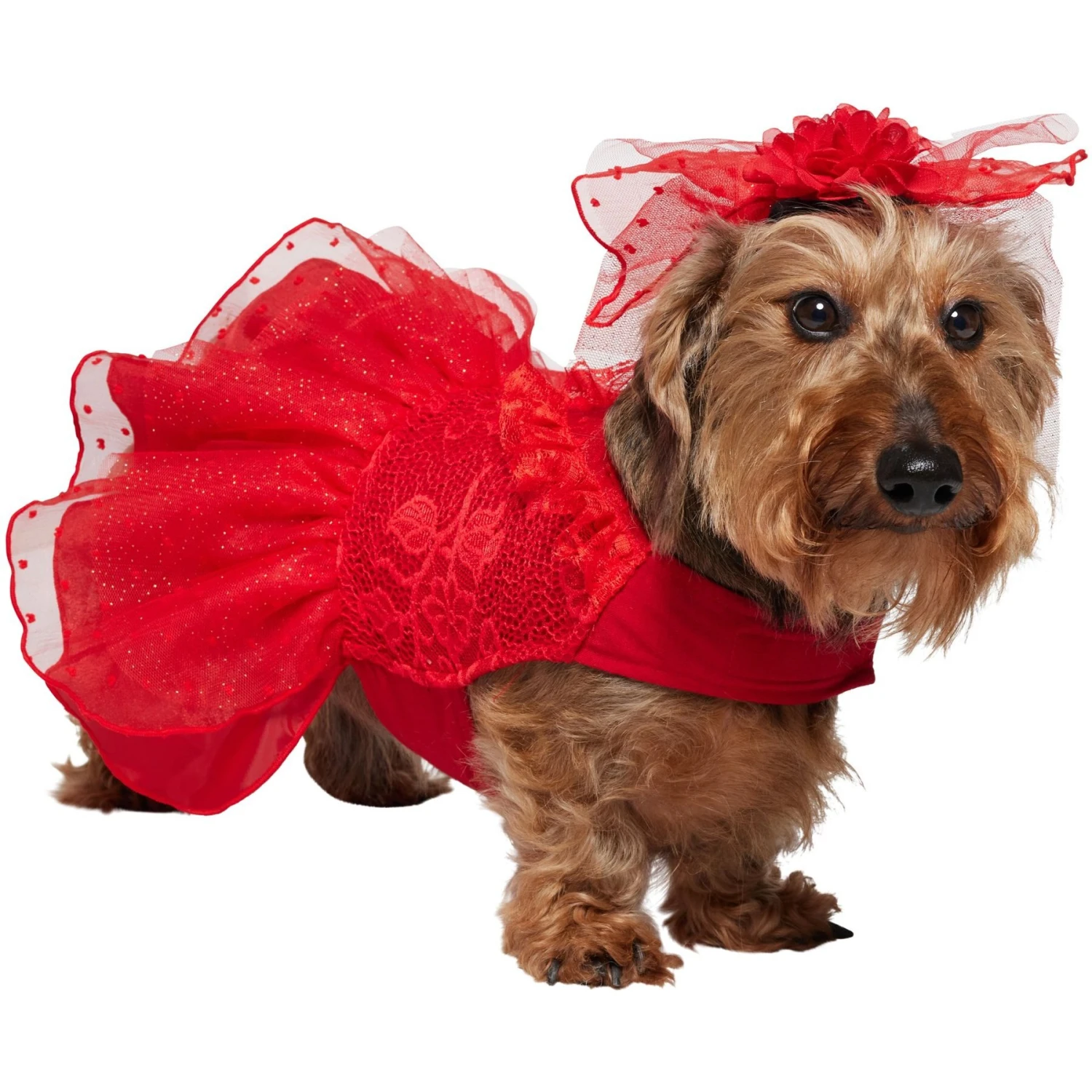 Frisco Red Ruffle Dog & Cat Dress + Headpiece 5 Frisco Red Ruffle Dog & Cat Dress + Headpiece - Image 3