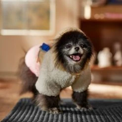 Frisco Colorblock Fleece Dog & Cat Hoodie W/ Pocket 18 Frisco Colorblock Fleece Dog & Cat Hoodie W/ Pocket -Frisco 718278 PT7. AC SS1800 V1692375977