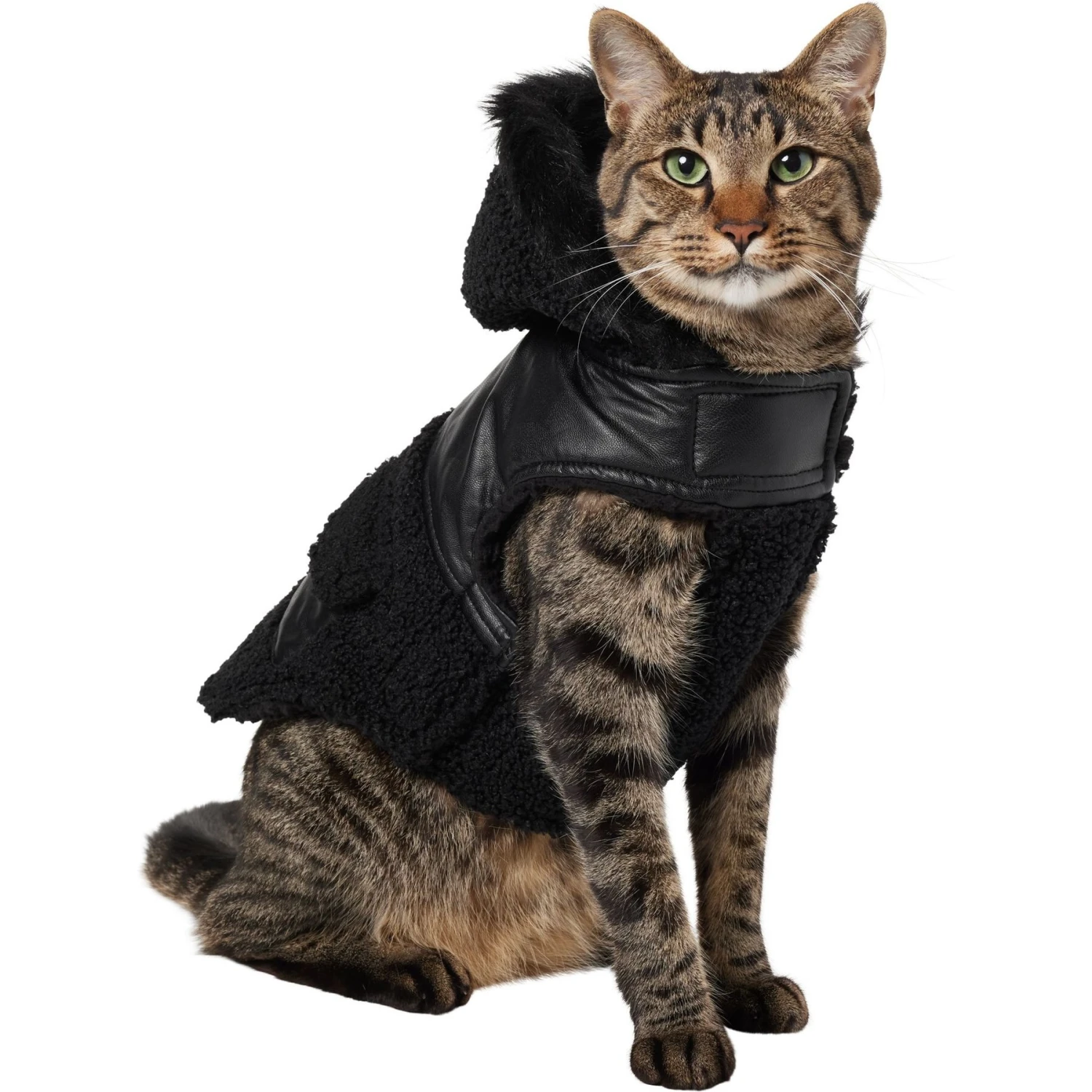 Frisco Medium Weight Faux Leather Dog & Cat Parka With Faux Fur Trimmed Hood, Black 3 Frisco Medium Weight Faux Leather Dog & Cat Parka With Faux Fur Trimmed Hood, Black