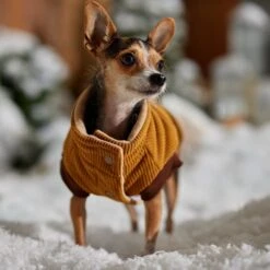 Frisco Heavy Weight Lux Corduroy Insulated Dog & Cat Coat With Fur Trimmed Hood 18 Frisco Heavy Weight Lux Corduroy Insulated Dog & Cat Coat With Fur Trimmed Hood -Frisco 719966 PT7. AC SS1800 V1692377819