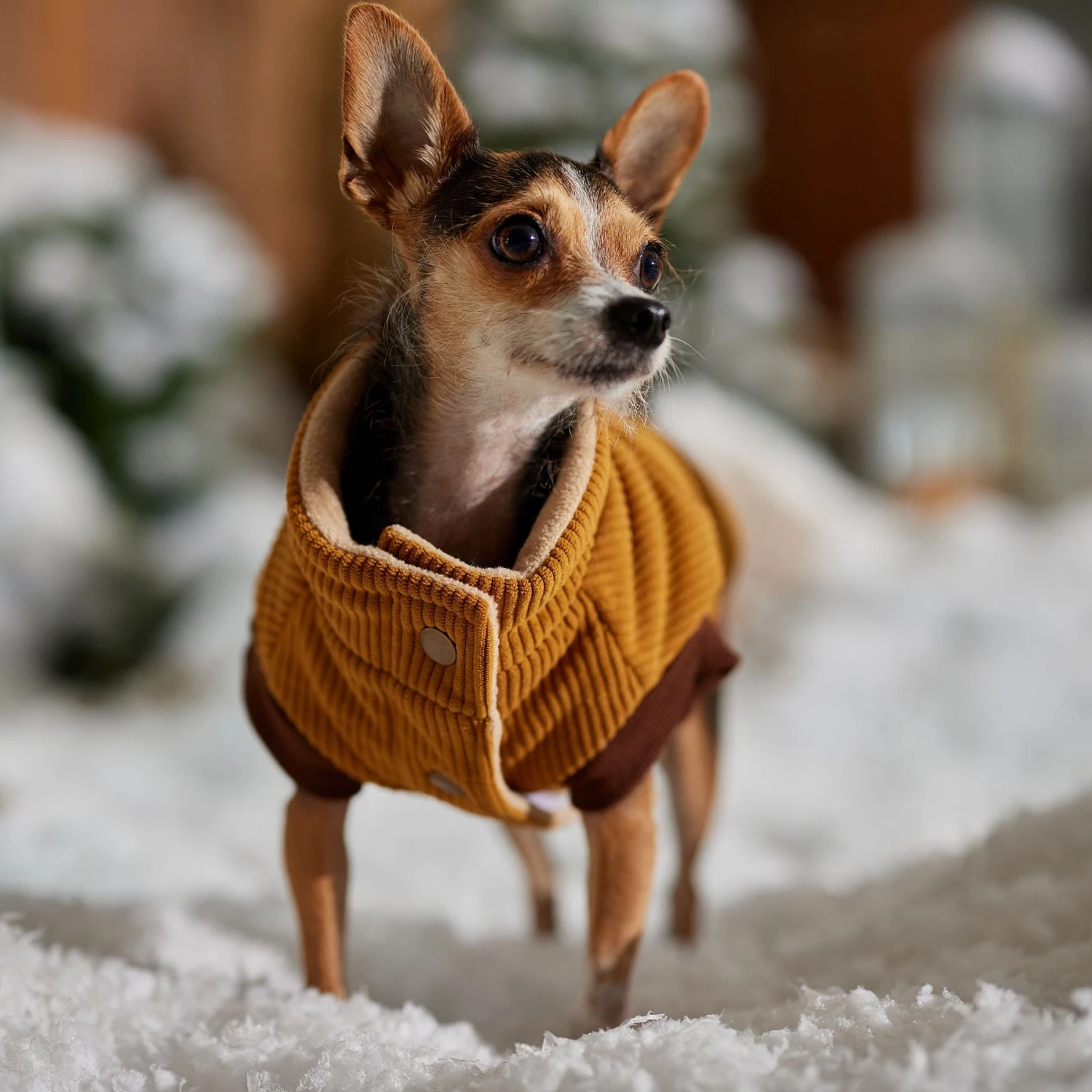 Frisco Heavy Weight Lux Corduroy Insulated Dog & Cat Coat With Fur Trimmed Hood 10 Frisco Heavy Weight Lux Corduroy Insulated Dog & Cat Coat With Fur Trimmed Hood - Image 8