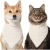 Frisco Solid Faux Fur Dog & Cat Bandana -Frisco 733878 MAIN. AC SS1800 V1692379951