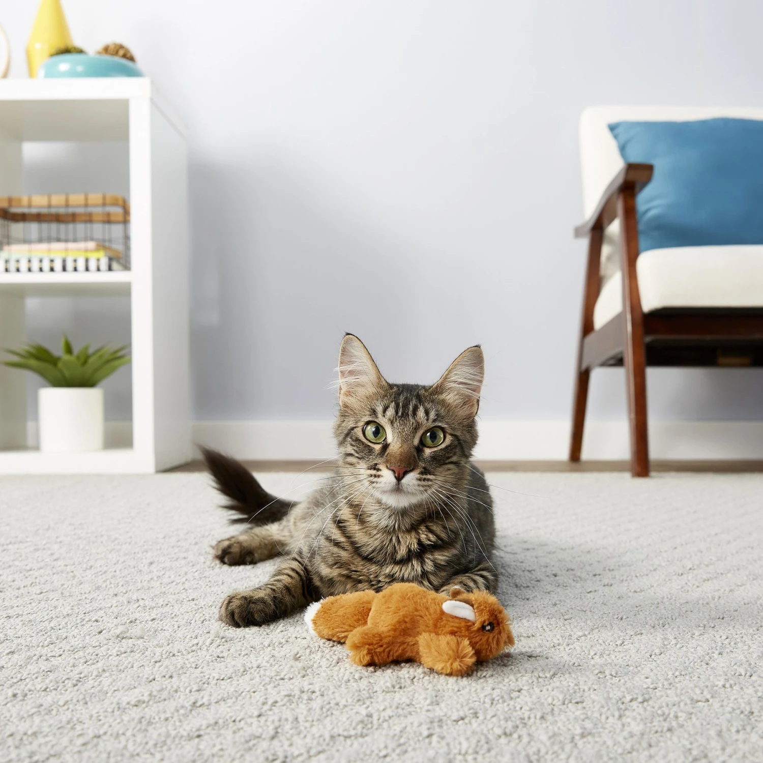 Hartz Delectables Squeeze Up Variety Pack Lickable Cat Treats & Frisco Squirrel Plush Cat Toy With Refillable Catnip 10 Hartz Delectables Squeeze Up Variety Pack Lickable Cat Treats & Frisco Squirrel Plush Cat Toy With Refillable Catnip - Image 8