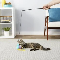 Hartz Delectables Squeeze Up Variety Pack Lickable Cat Treats & Frisco Bird With Feathers Teaser Wand Cat Toy With Catnip 18 Hartz Delectables Squeeze Up Variety Pack Lickable Cat Treats & Frisco Bird With Feathers Teaser Wand Cat Toy With Catnip -Frisco 737438 PT7. AC SS1800 V1670877149