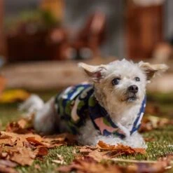 Frisco Medium Weight Urban City Camo Printed Dog & Cat Hooded Coat -Frisco 742358 PT7. AC SS1800 V1692376368