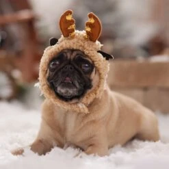 Frisco Sherpa Reindeer Dog & Cat Hat With Bells -Frisco 745646 PT5. AC SS1800 V1694795597