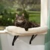 Frisco Plush Cat Window Perch With Removeable Bolster -Frisco 804630 MAIN. AC SS1800 V1695933061