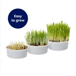 Frisco Natural Cat Grass Growing Kit -Frisco 944102 PT4. AC SS1800 V1701364932