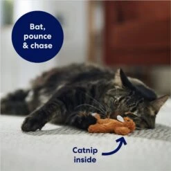 Frisco Squirrel Plush Cat Toy With Refillable Catnip & Frisco Bird With Feathers Teaser Wand Cat Toy With Catnip -Frisco 962030 PT3. AC SS1800 V1694783954