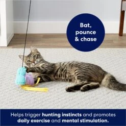 Frisco Squirrel Plush Cat Toy With Refillable Catnip & Frisco Bird With Feathers Teaser Wand Cat Toy With Catnip -Frisco 962030 PT8. AC SS1800 V1694783953