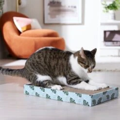 Frisco Double-Wide Cat Scratcher Toy With Catnip & Frisco Double-Wide Cat Scratcher Toy Refill With Catnip, 2 Count 14 Frisco Double-Wide Cat Scratcher Toy With Catnip & Frisco Double-Wide Cat Scratcher Toy Refill With Catnip, 2 Count -Frisco 962110 PT3. AC SS1800 V1694782923