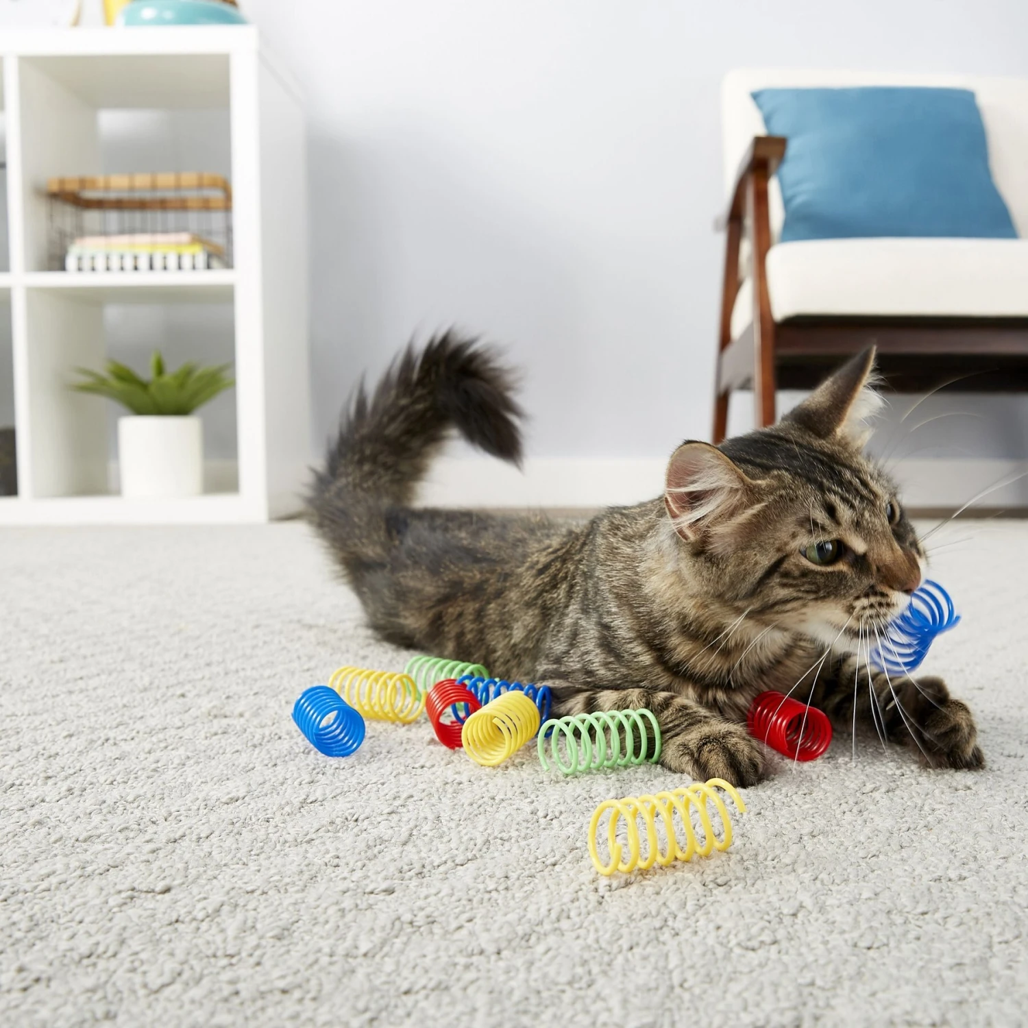 Frisco Colorful Springs Cat Toy & Frisco Bird With Feathers Teaser Wand Cat Toy With Catnip 6 Frisco Colorful Springs Cat Toy & Frisco Bird With Feathers Teaser Wand Cat Toy With Catnip - Image 5